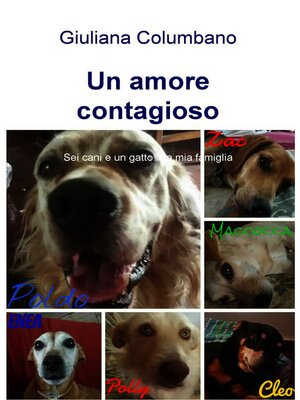 cover image of Un amore contagioso